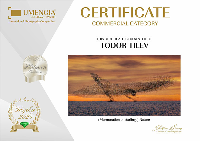 Umencia Internatinal Photgraphy Competition_2025_Throphy_Nature - Achievements