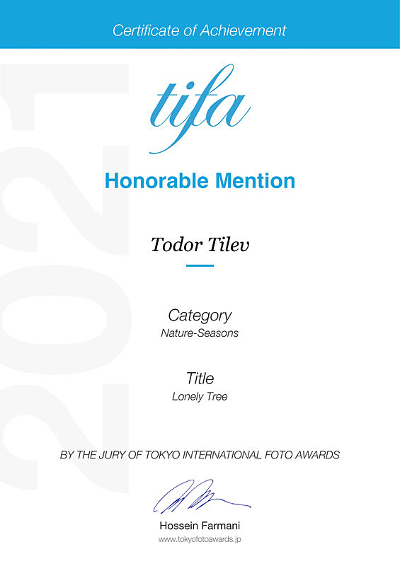 Tokyo International Foto Awards_Nature_Seasons - Achievements