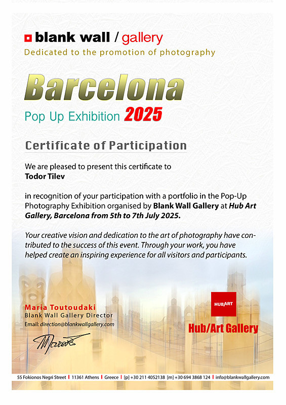 Hub Art Gallery Barcelona 2025 - Achievements