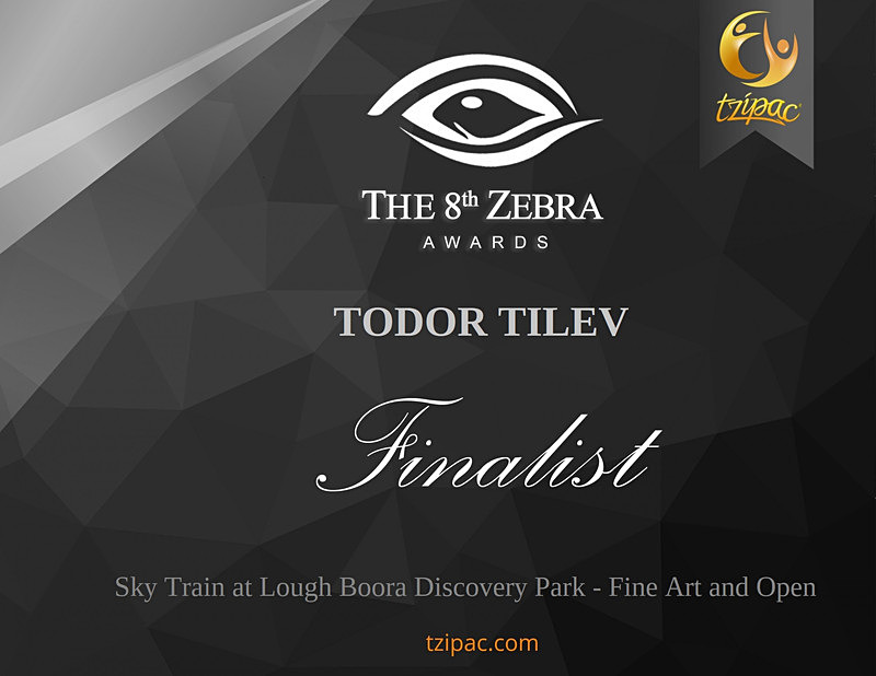 8th Zebra International Black and White Photography Awards_Sky Train a - Achievements