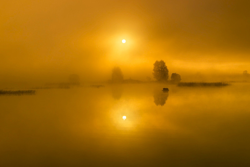 Early Foggy Morning at Lake Boora, County Offaly, Ireland. - Awarded & Published Pictures 2021