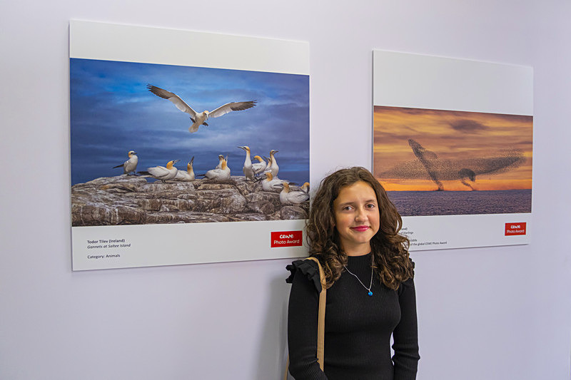 Cewe International Photo Awards 2025 Ireland - Exhibitions