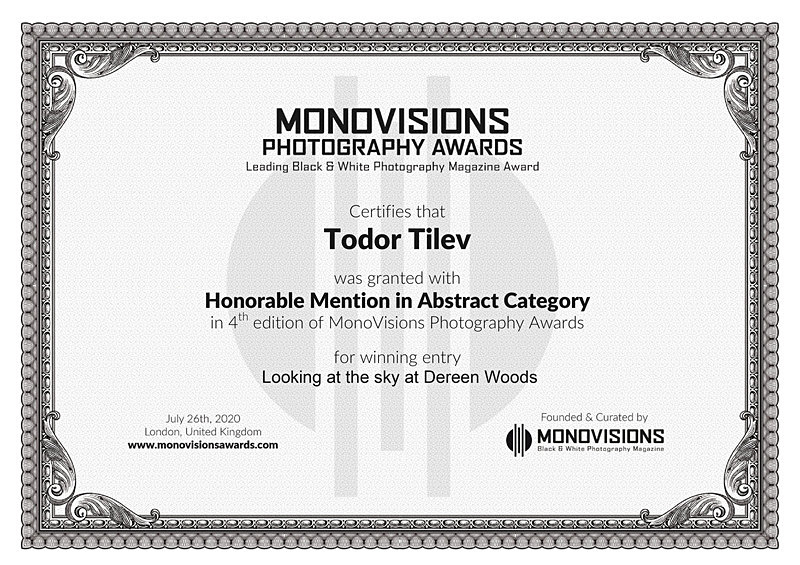Monovisions Photography Awards_2020_Abstract - Achievements
