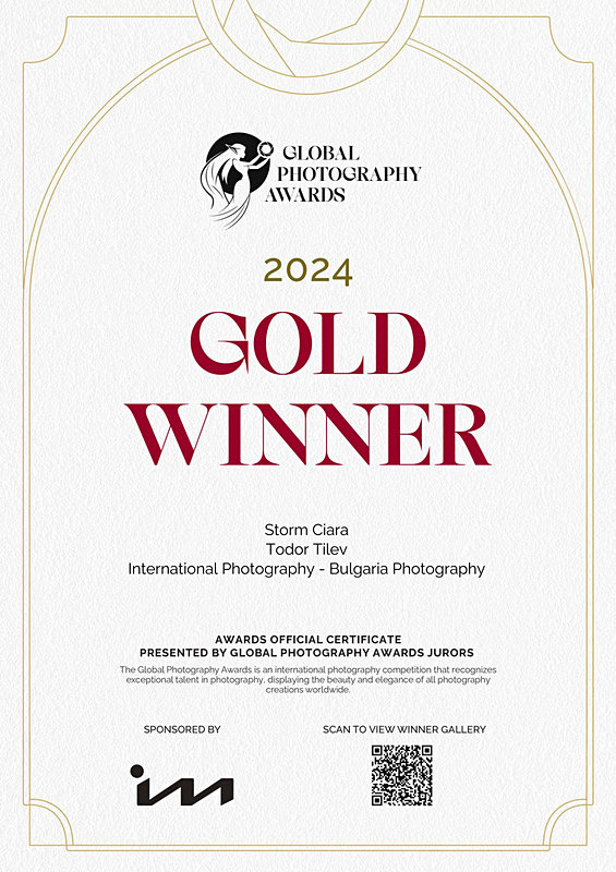 Global Photography Awards_2024_Gold Award_Fine Art_Seascape - Achievements