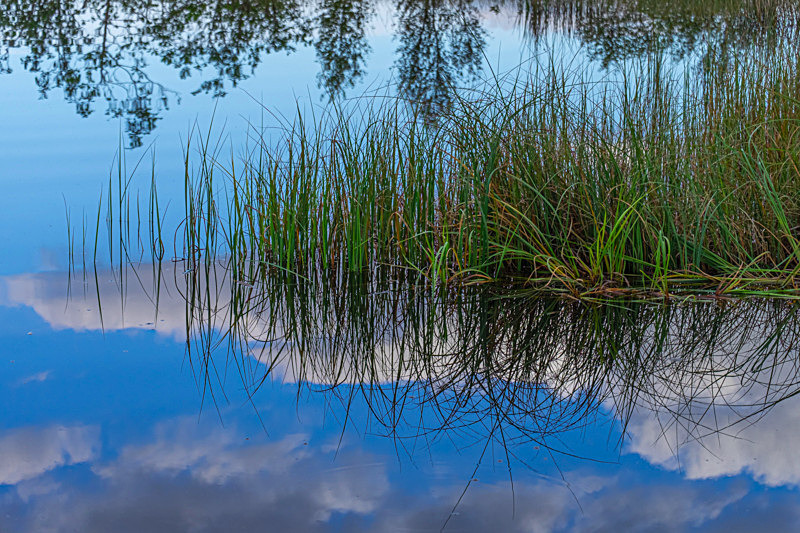 Intimate Landscapes - Best Pictures 2020