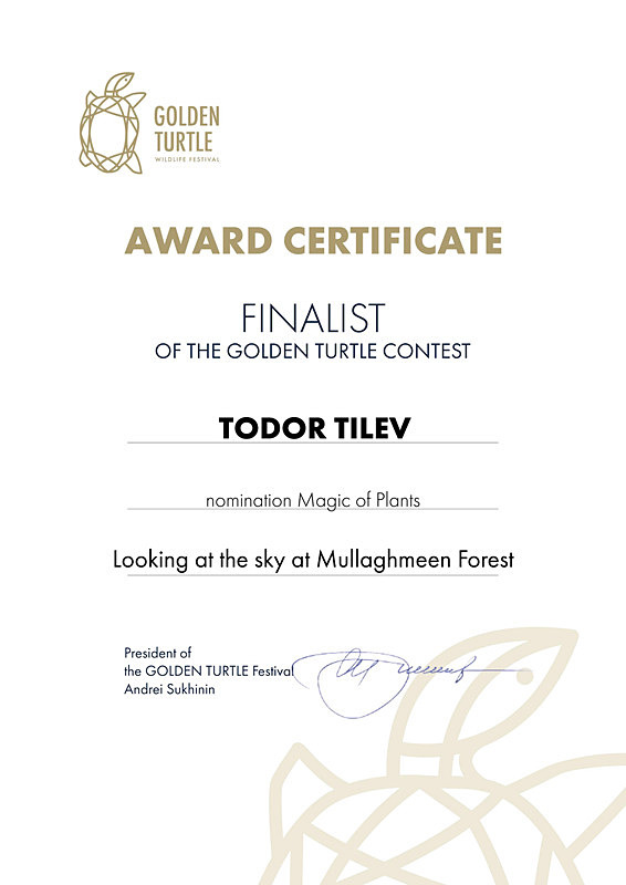 Golden Turtle Wildlife Photo Competition_2021_Magic of Plants - Achievements