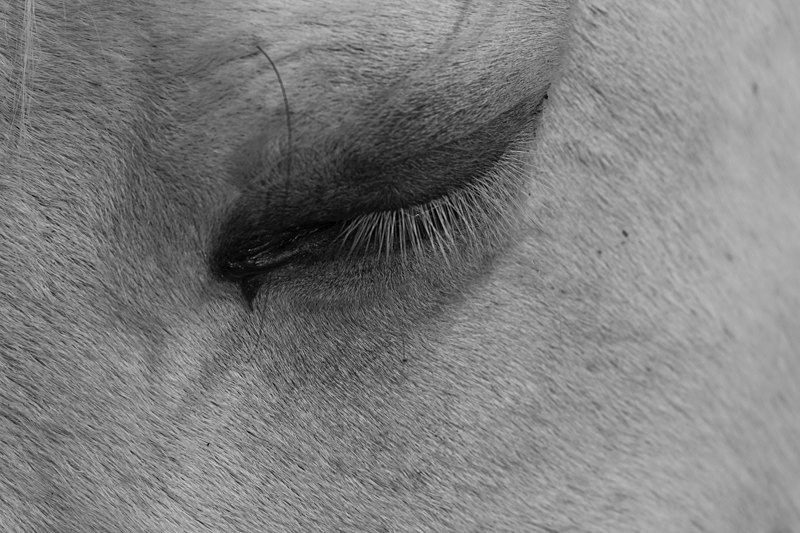 The Eye, Ireland. - Black and White