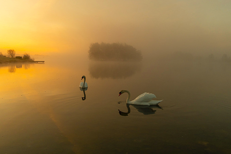 Early foggy morning at Finnamore Lake, County Offaly, Ireland. - Awarded & Published Pictures 2021
