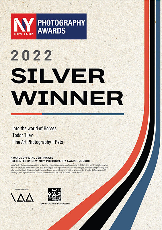 New York Photography Awards_2022_Silver Award_Fine Art_Pets - Achievements