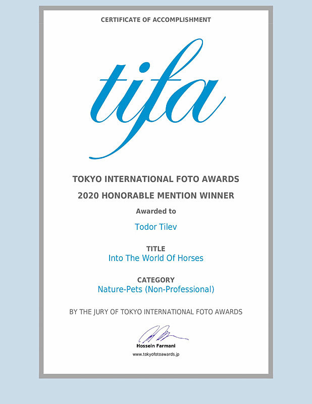 Tokyo International Foto Awards__Honorable Mention_Nature_Pets - Achievements