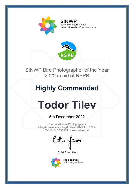 Society of International Nature Wildlife Photographers_Highly Commende - Achievements