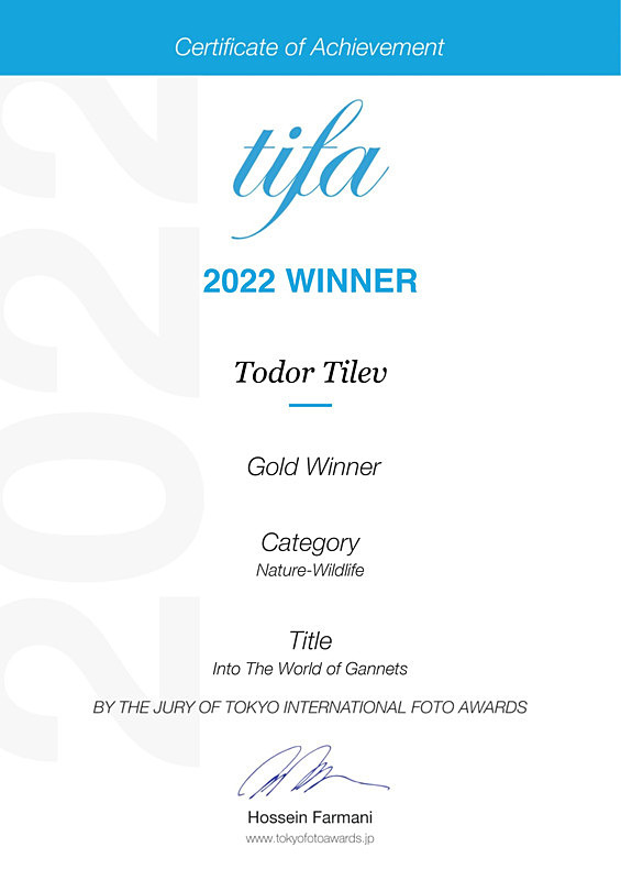 Tokyo International Foto Awards_2022_Gold Award_Nature_Wildlife - Achievements