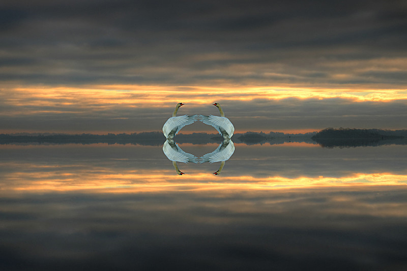 Love, Lough Ree, Ireland. - Pictures out of this world