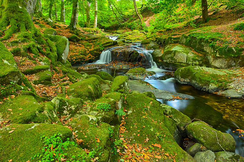 Waterfall at Sally Gap - Co Wicklow