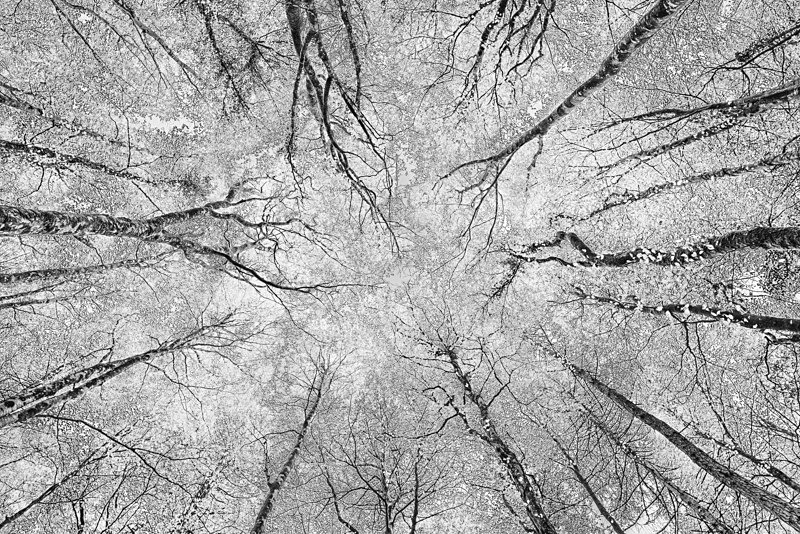 DSCF9136 - Black and White
