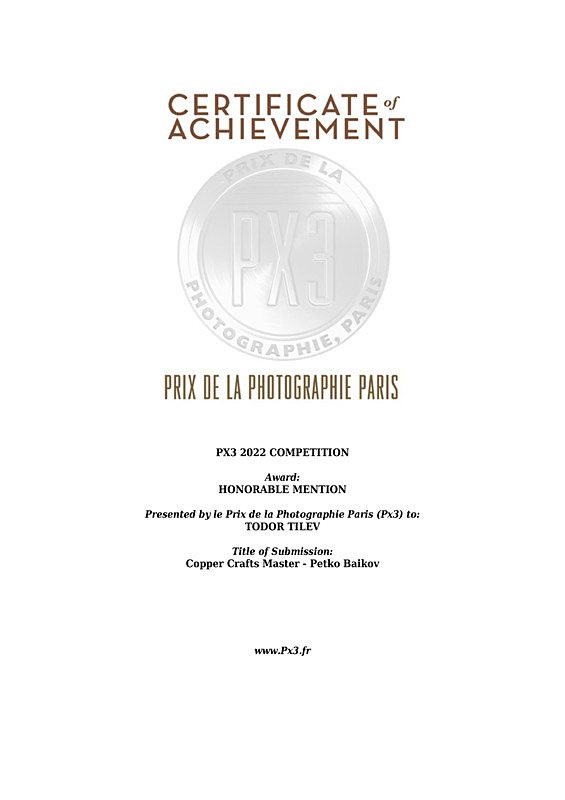 Paris International Awards_Honorable Mention_Portraiture_Personality - Achievements