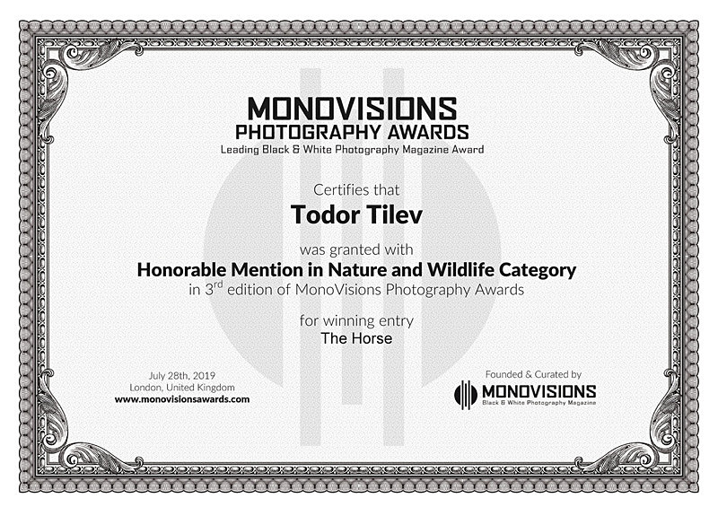 Monovisions Photography Awards_2019_Nature  Wildlife - Achievements
