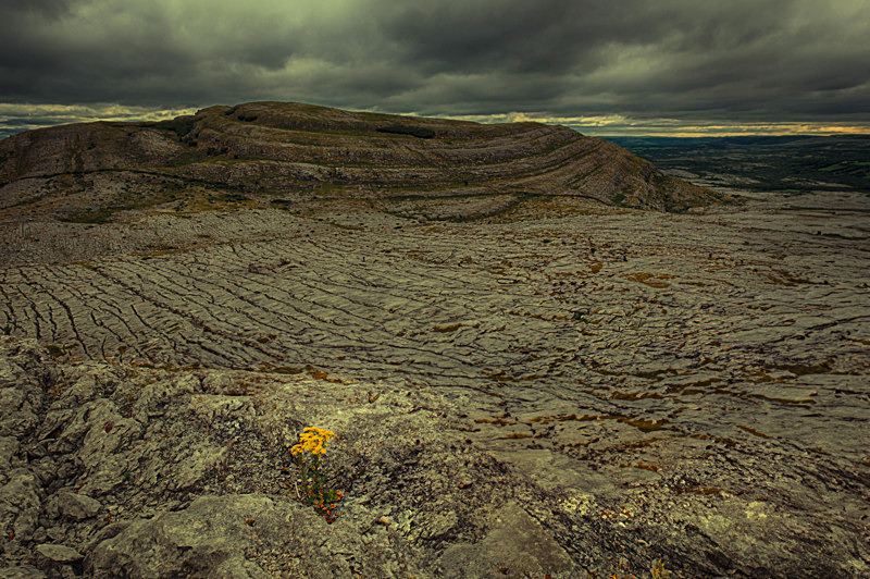 The Burren, County Clare, Ireland. - Pictures out of this world