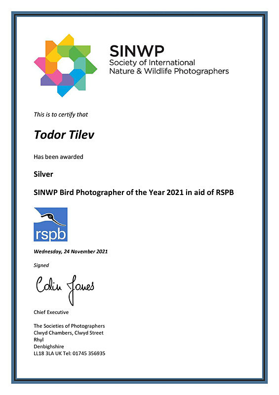 Society of International Nature  Wildlife Photographers_Silver Award - Achievements