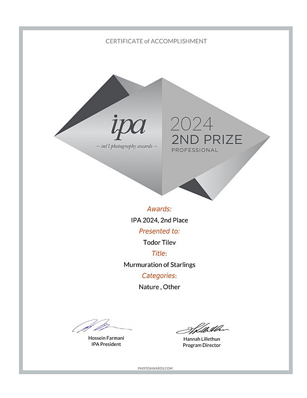 International Photography Awards_2024_2nd Place_Nature_Other - Achievements