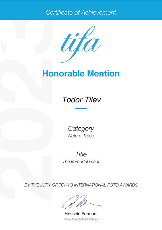 Tokyo International Foto Awards_2023_Nature_Trees - Achievements
