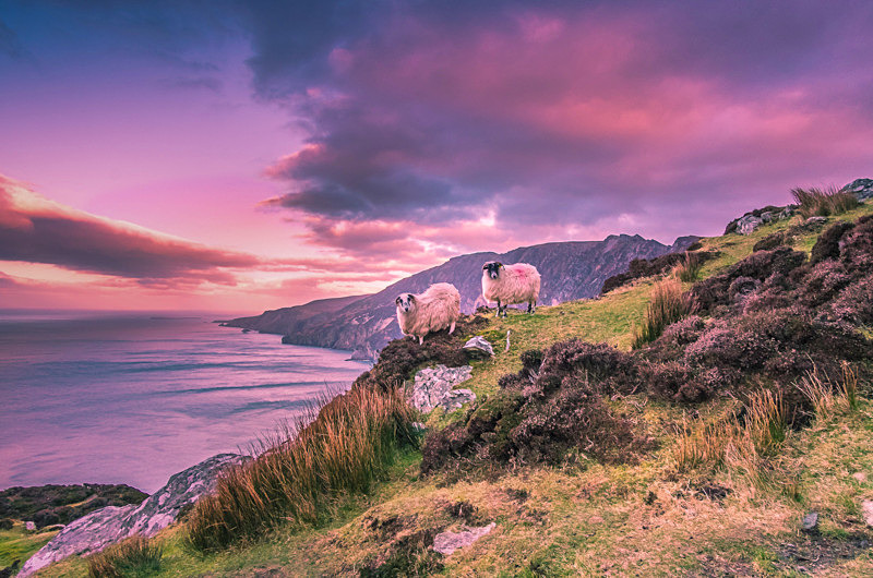 Sunrise at Slieve League, County Donegal, Ireland. - Awarded & Published Pictures 2021