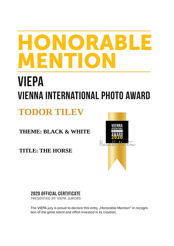 Vienna International Photo Awards_Black  White_The Horse - Achievements