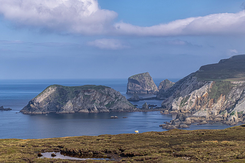 Port, County Donegal. - Best Pictures 2020