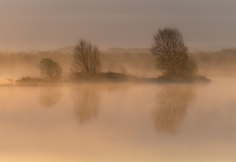 Sunrise at Lough Boora - All of the Rest Counties