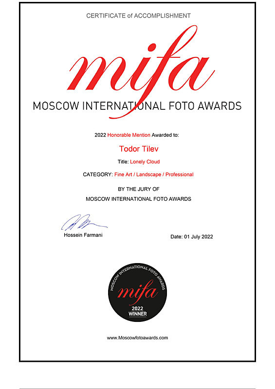 Moscow International Foto Awards_Fine Art_Landscape - Achievements