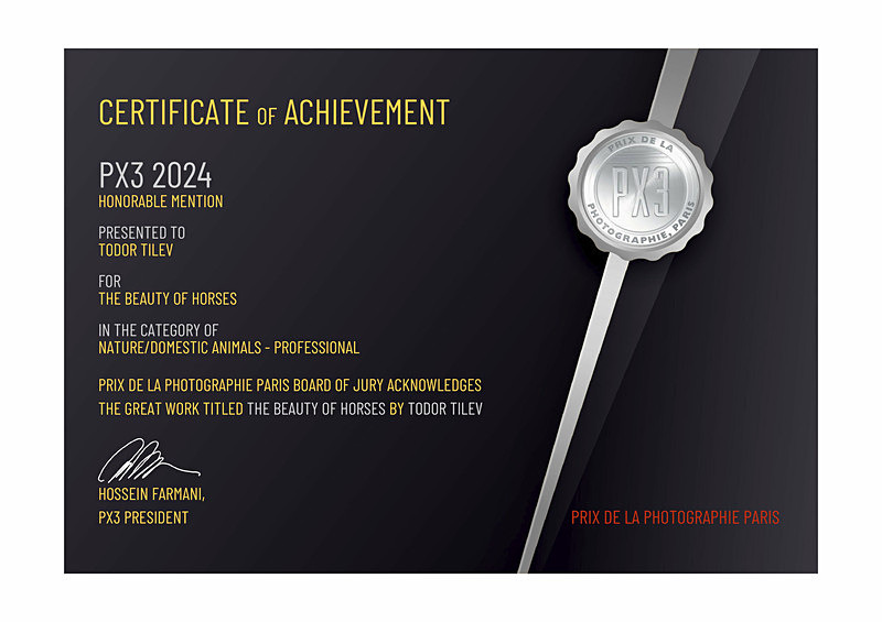 Paris International Awards_Honorable Mention_Nature_Domestic Animals - Achievements