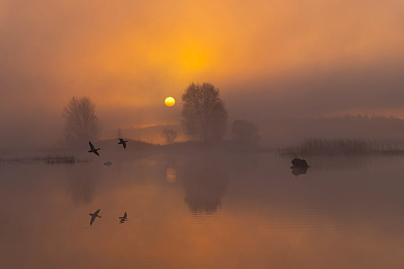 Sunrise at Lake Boora, County Offaly, Ireland. - Awarded & Published Pictures 2021
