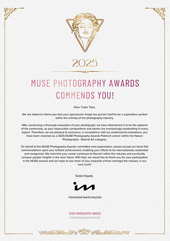 Muse Photography Awards_2025_Congratulatory Letter - Achievements
