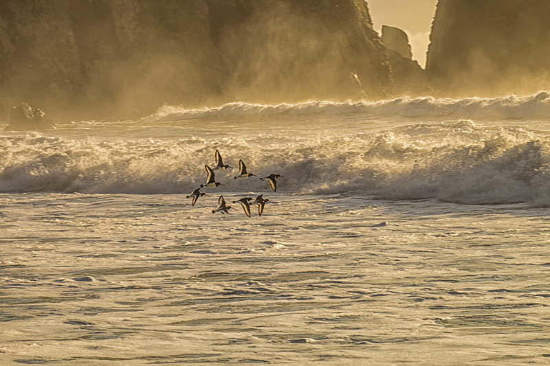 At Ballydowane Cove - Awarded Pictures 2020