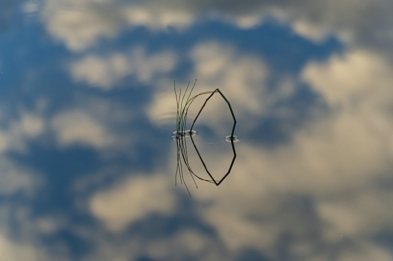 Reflections at Lake Boora, County Offaly, Ireland. - Awarded & Published Pictures 2022
