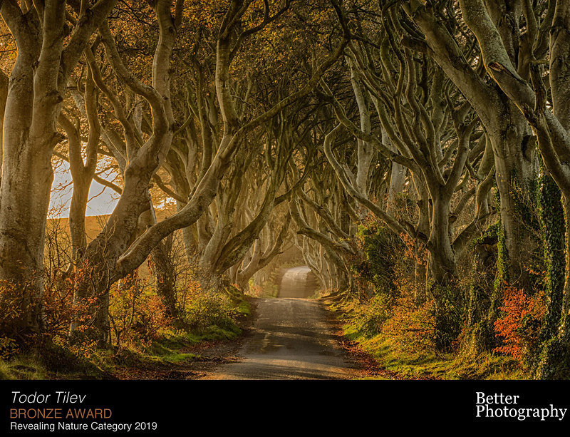 Better Photography Magzine Photo of the Year_2019_Bronze Award_ Nature - Achievements
