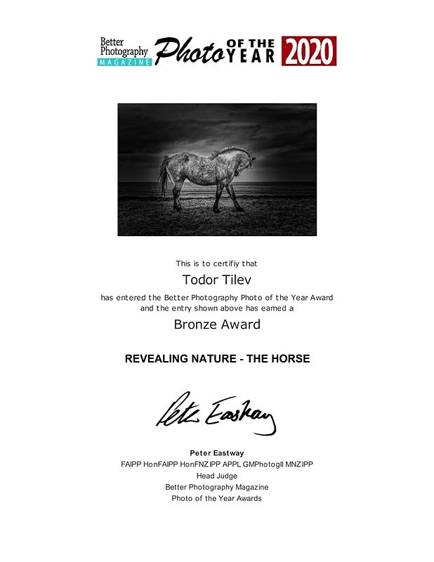 Better Photography Magzine Photo of the Year_2020__ Revealing Nature - Achievements