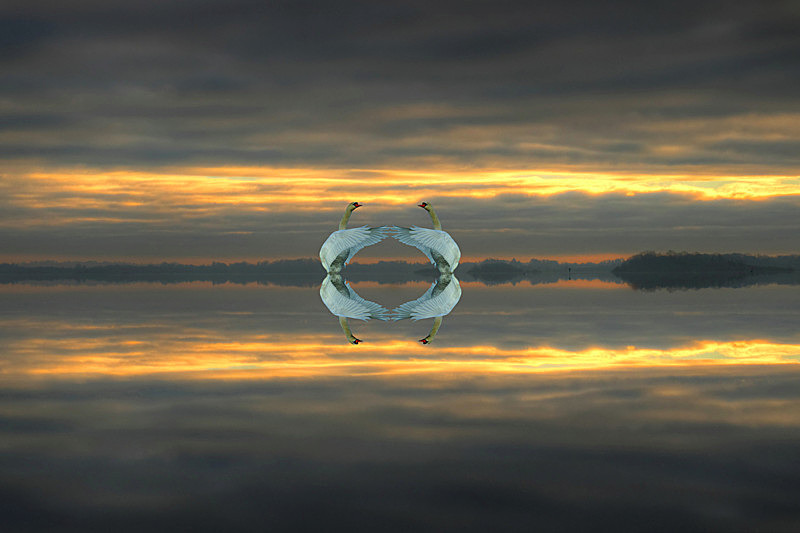 Love, Lake Ree, County Roscommon, Ireland. - Awarded & Published Pictures 2021
