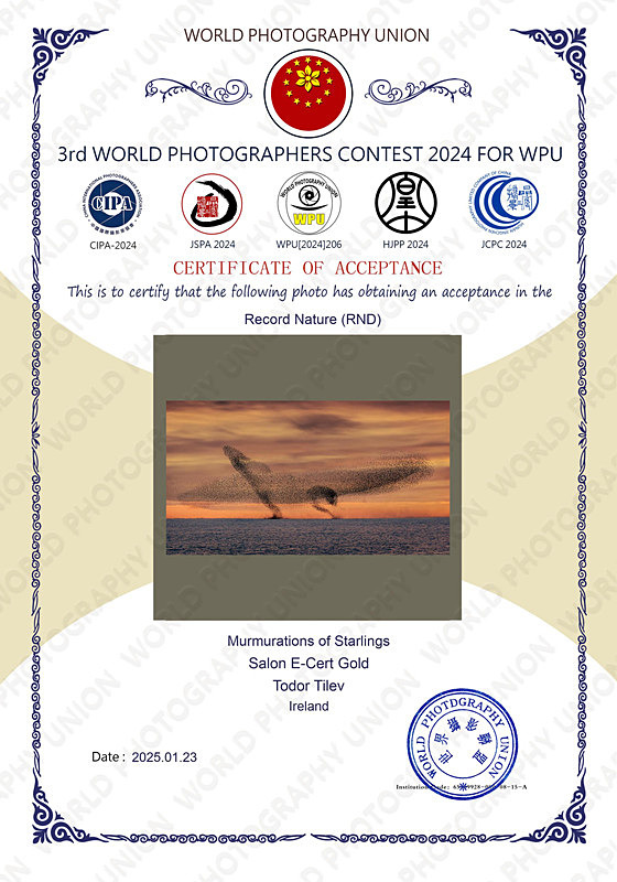 3rd World Photographers Contest_2024_Gold_Nature - Achievements