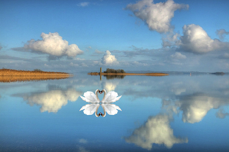 Pure Love  at Lough Ree - Athlone