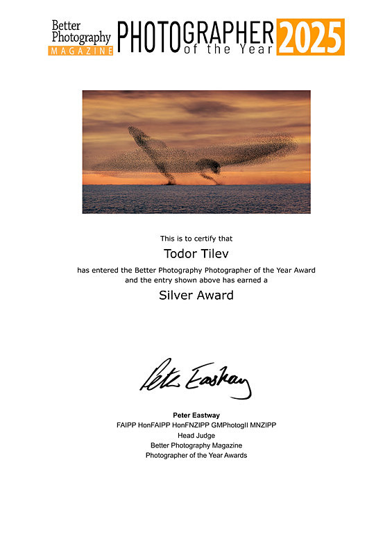 Better Photography Magazine_2025_Silver Award_Revealing Nature - Achievements