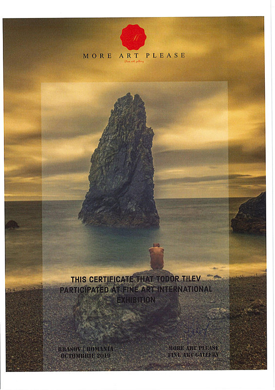 More Art Please_Fine Art - Achievements