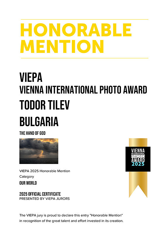 Vienna Internatinal Photgraphy Competition_2025_Our World - Achievements