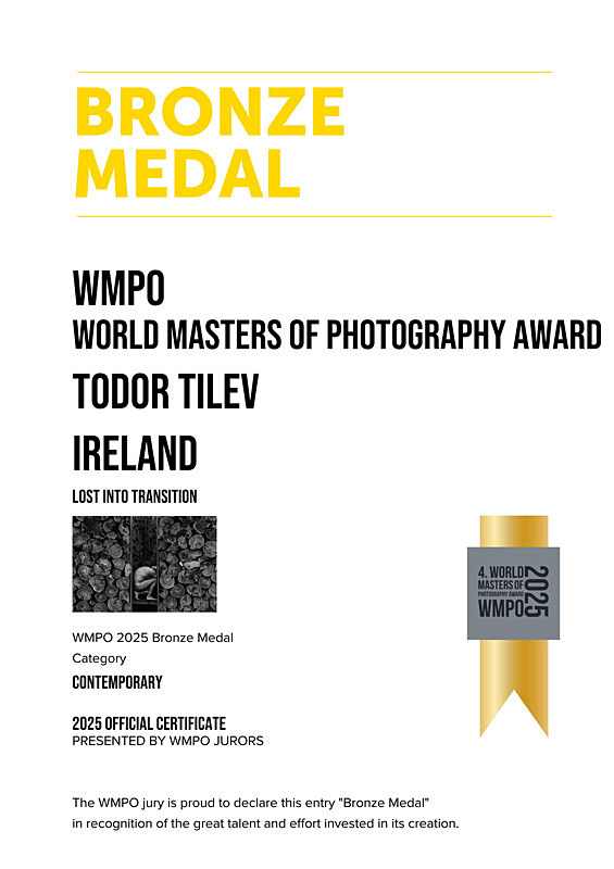 World Masters of Photography_2025_Bronze_Contemporary - Achievements