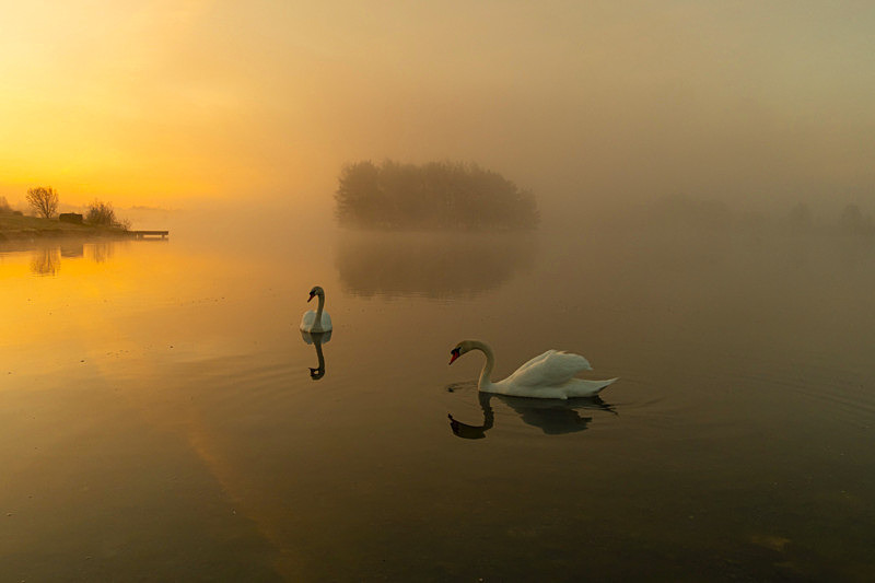 Sunrise at Finnamore Lake, County Offaly, Ireland. - Pictures out of this world
