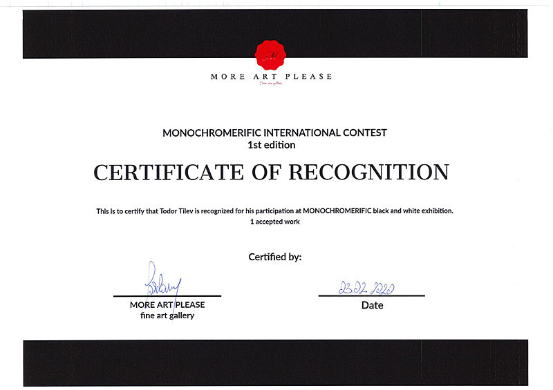 More Art Please_2020_Monochromerific - Achievements