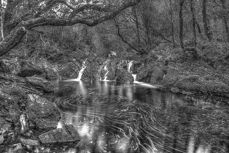 Waterfall at Glengarriff Nature Reserve, Ireland. - Black and White