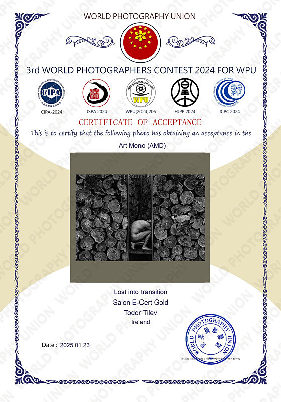 3rd World Photographers Contest_2024_Gold_Mono Art - Achievements