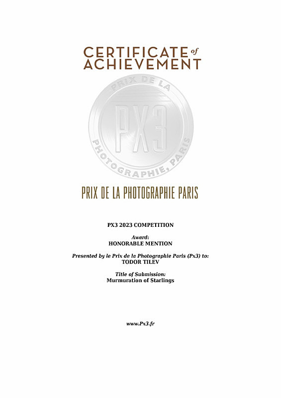 Paris International Awards_2023_Honorable Mention_Nature_Sky - Achievements