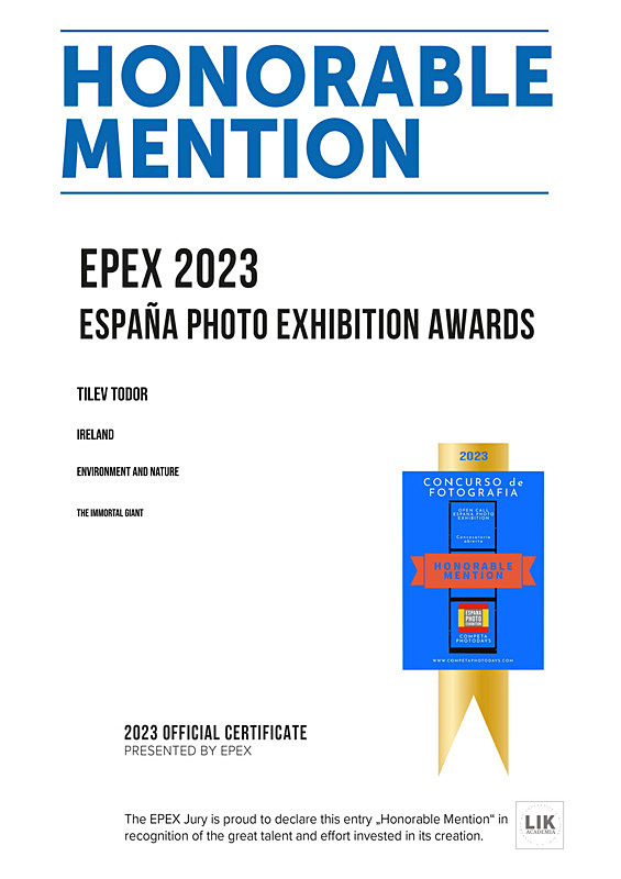Epex Photo Awards_2023_The Immortal Giant_Nature - Achievements